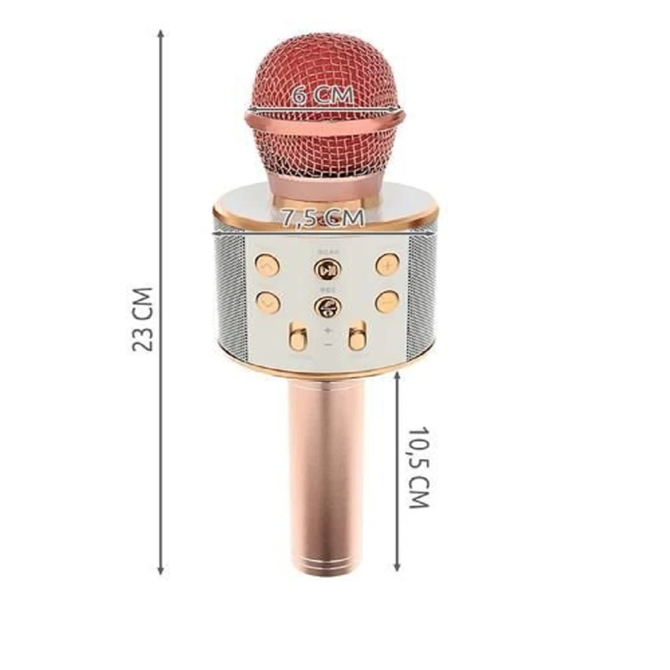 Bluetooth Karaoke mikrofon WS-858