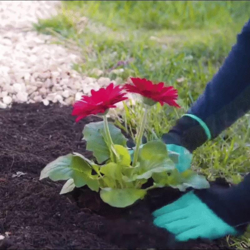 Greenhouse strapabíró, vízálló kerti kesztyű szett 4 karommal - ásáshoz, kerti munkálatokhoz - univerzális méret