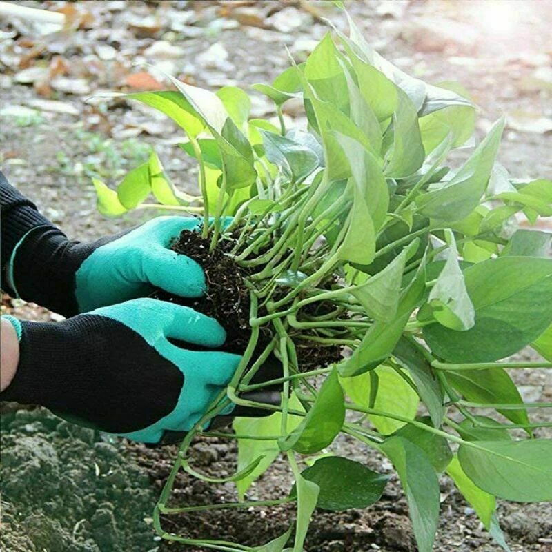 Greenhouse strapabíró, vízálló kerti kesztyű szett 4 karommal - ásáshoz, kerti munkálatokhoz - univerzális méret