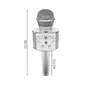 Bluetooth Karaoke mikrofon WS-858