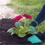 Greenhouse strapabíró, vízálló kerti kesztyű szett 4 karommal - ásáshoz, kerti munkálatokhoz - univerzális méret